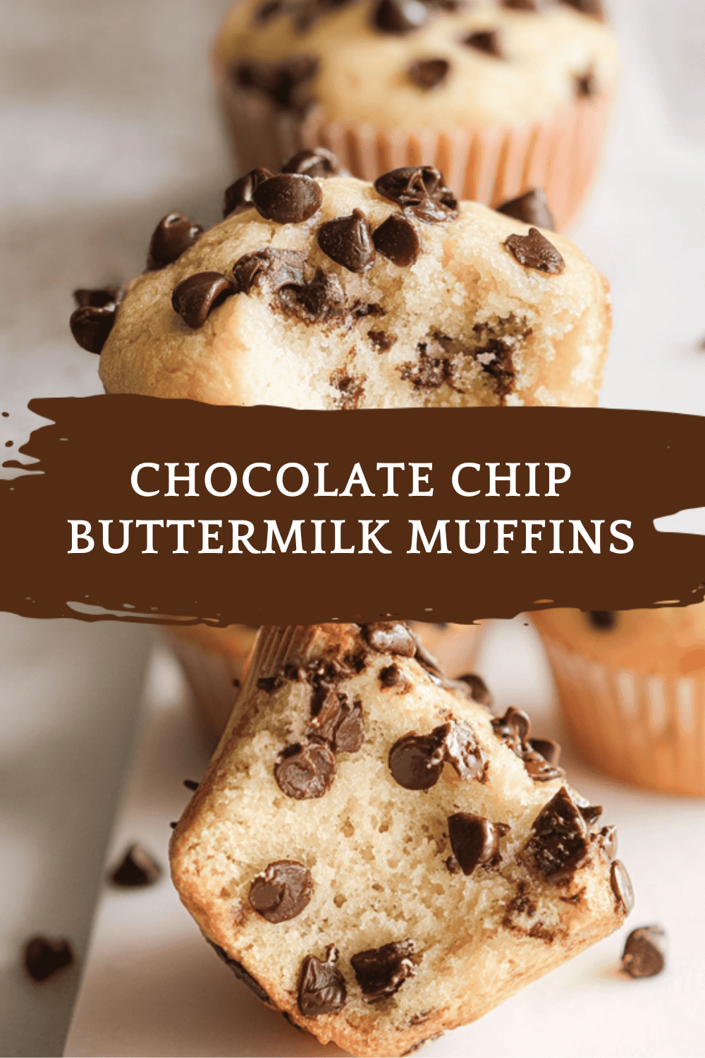 Chocolate Chip Buttermilk Muffins