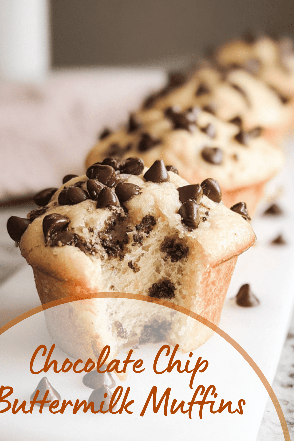 Chocolate Chip Buttermilk Muffins