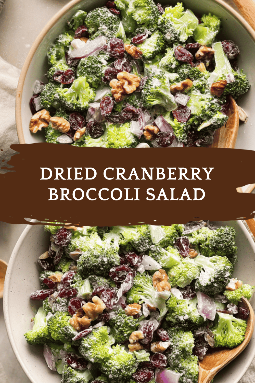 Dried Cranberry Broccoli Salad