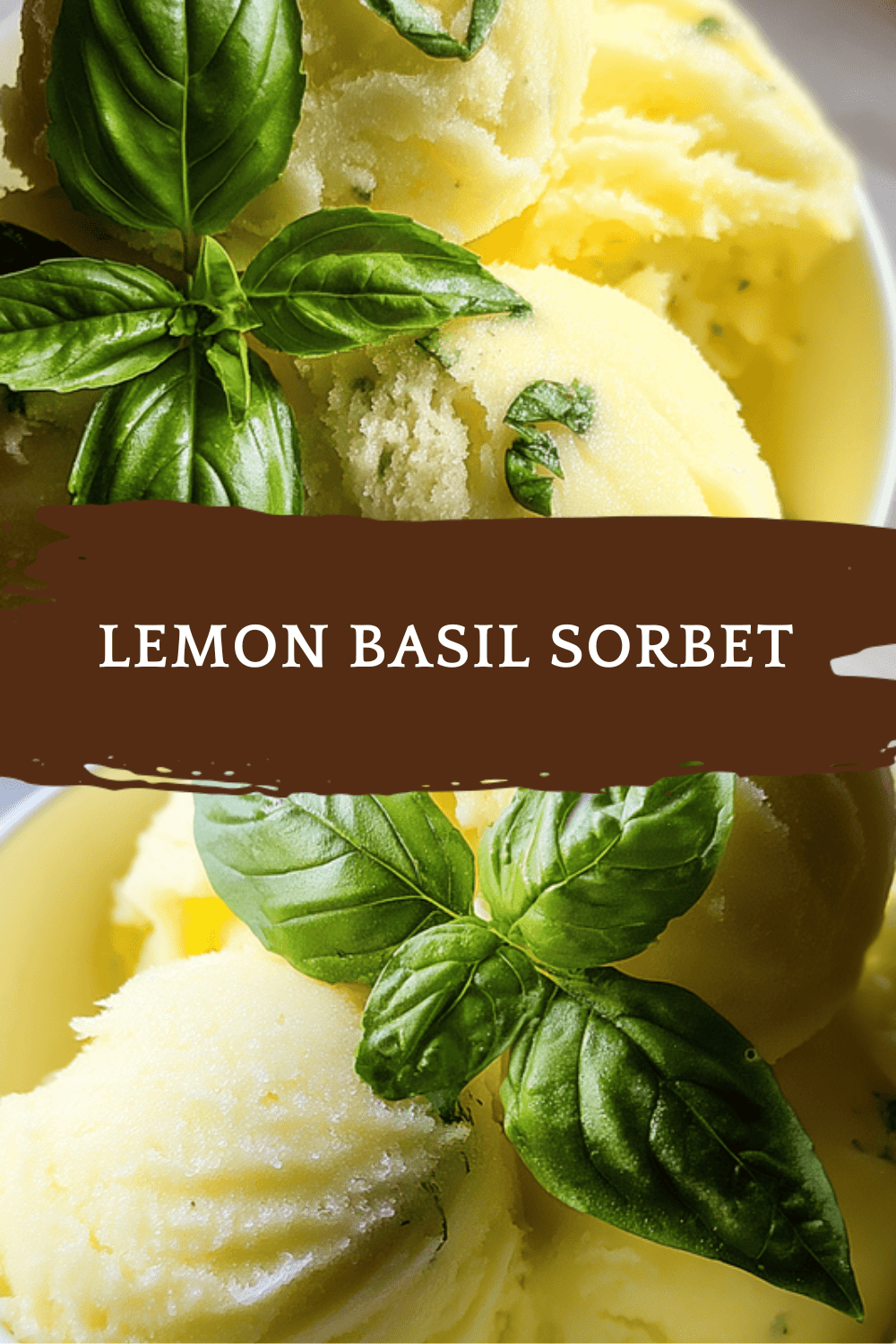 Lemon Basil Sorbet