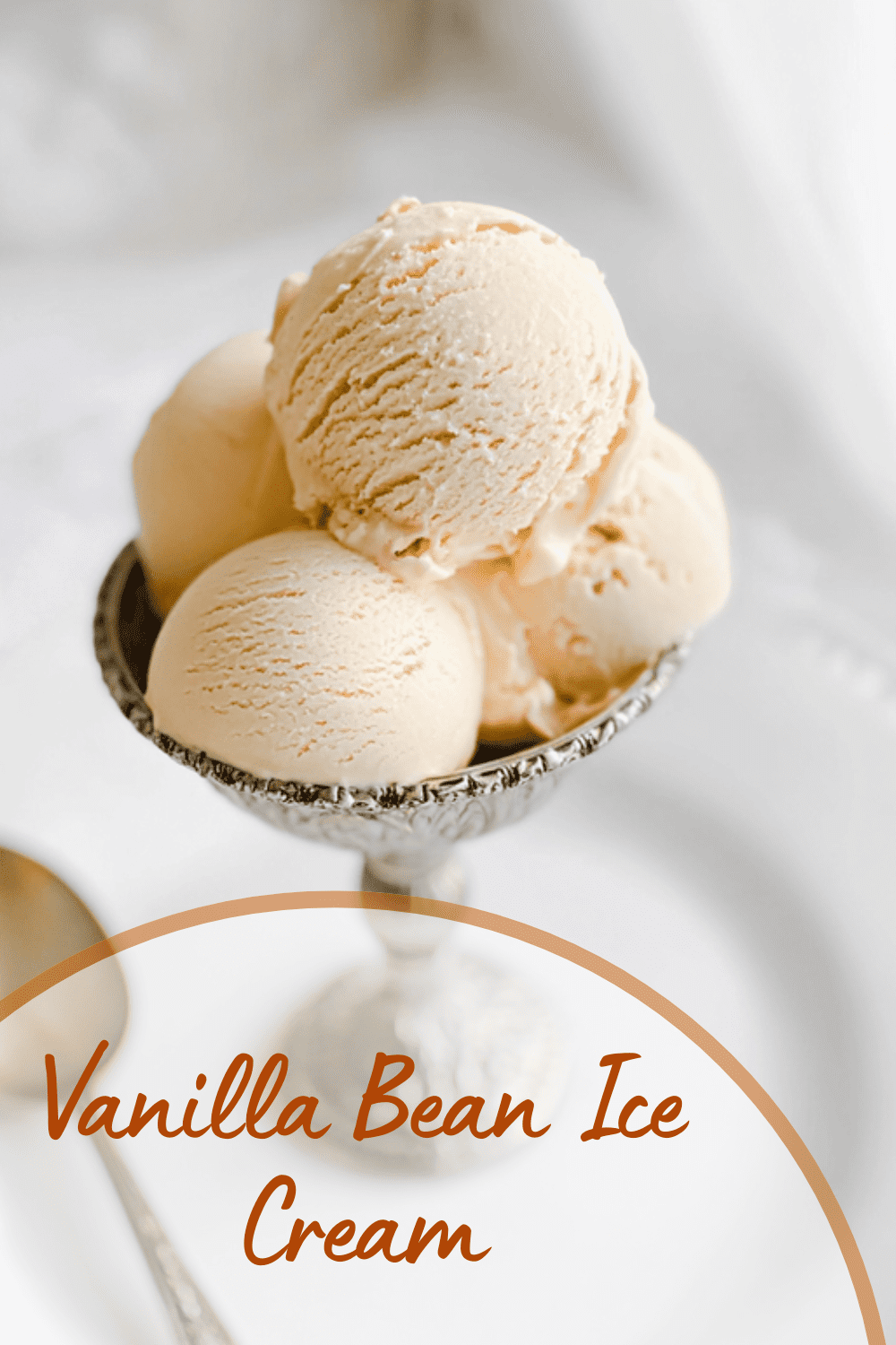 Vanilla Bean Ice Cream