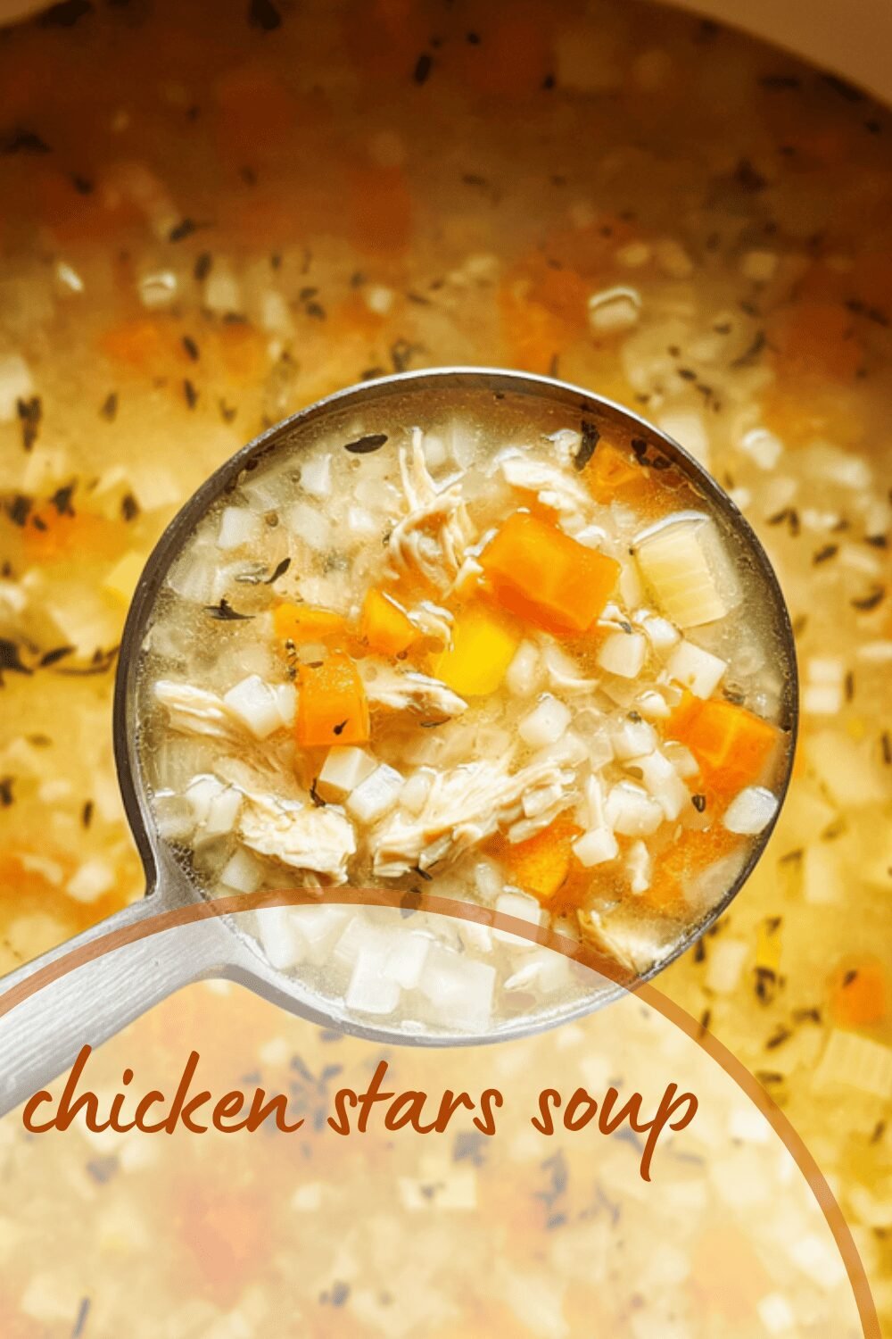 Chicken Stars Soup
