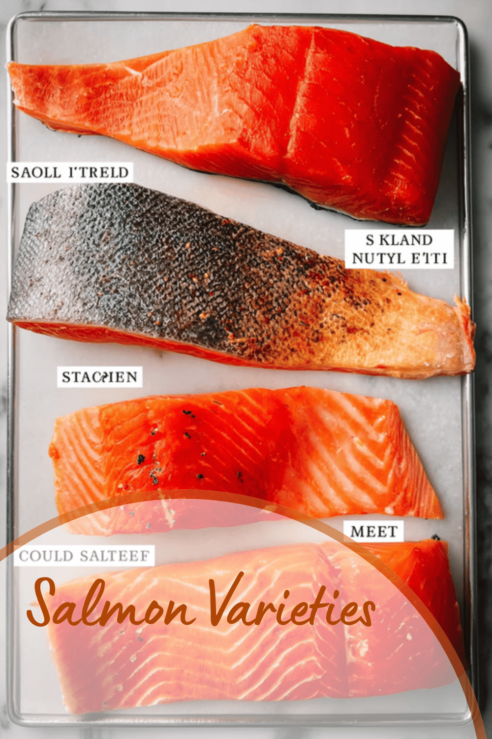 Salmon Varieties