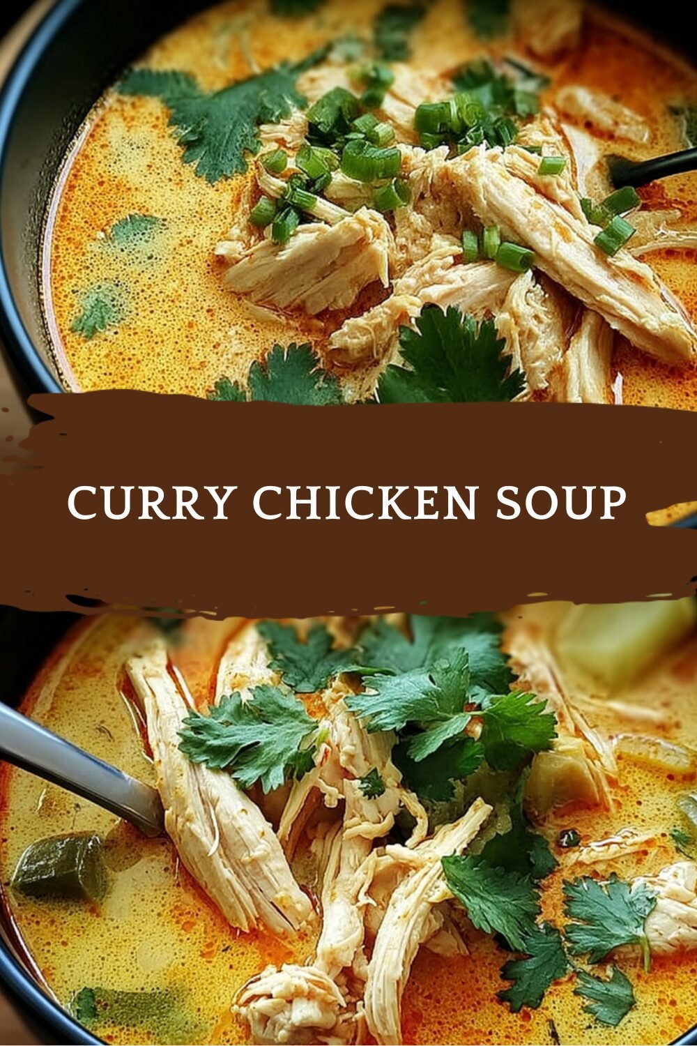 Curry Chicken Soup
