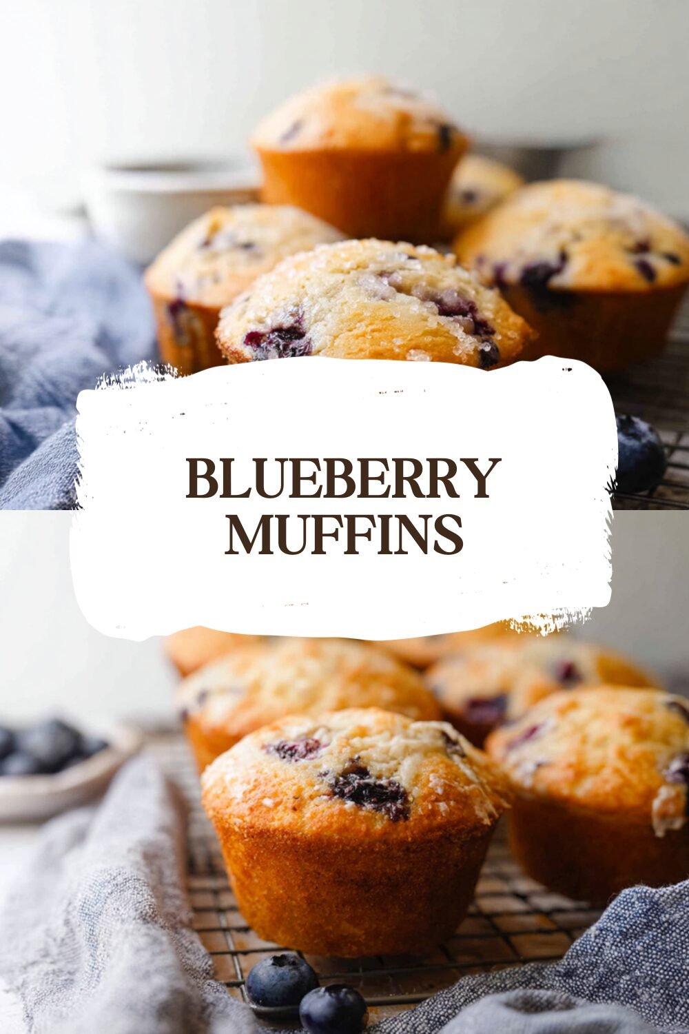 Blueberry Muffins