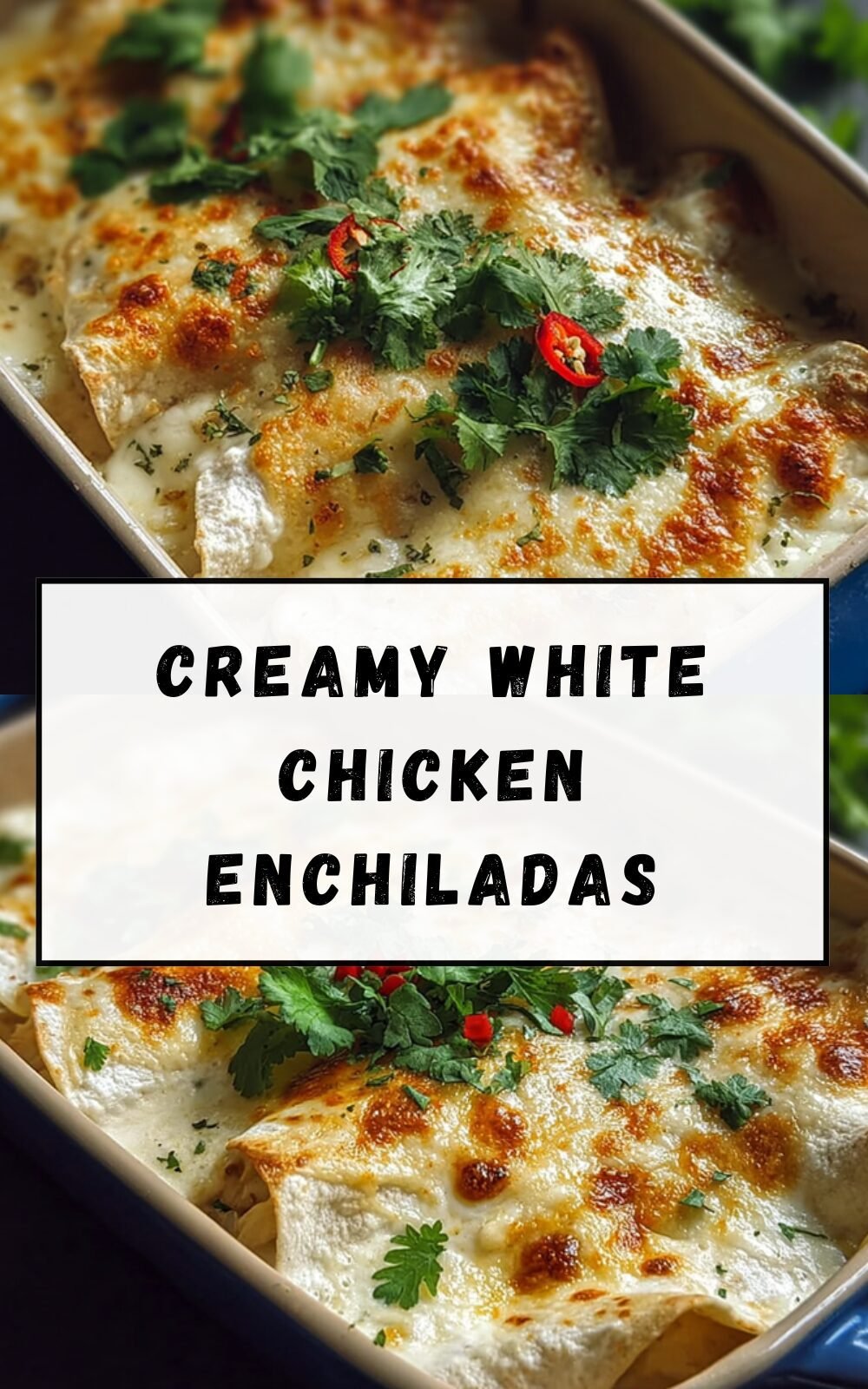 Creamy White Chicken Enchiladas