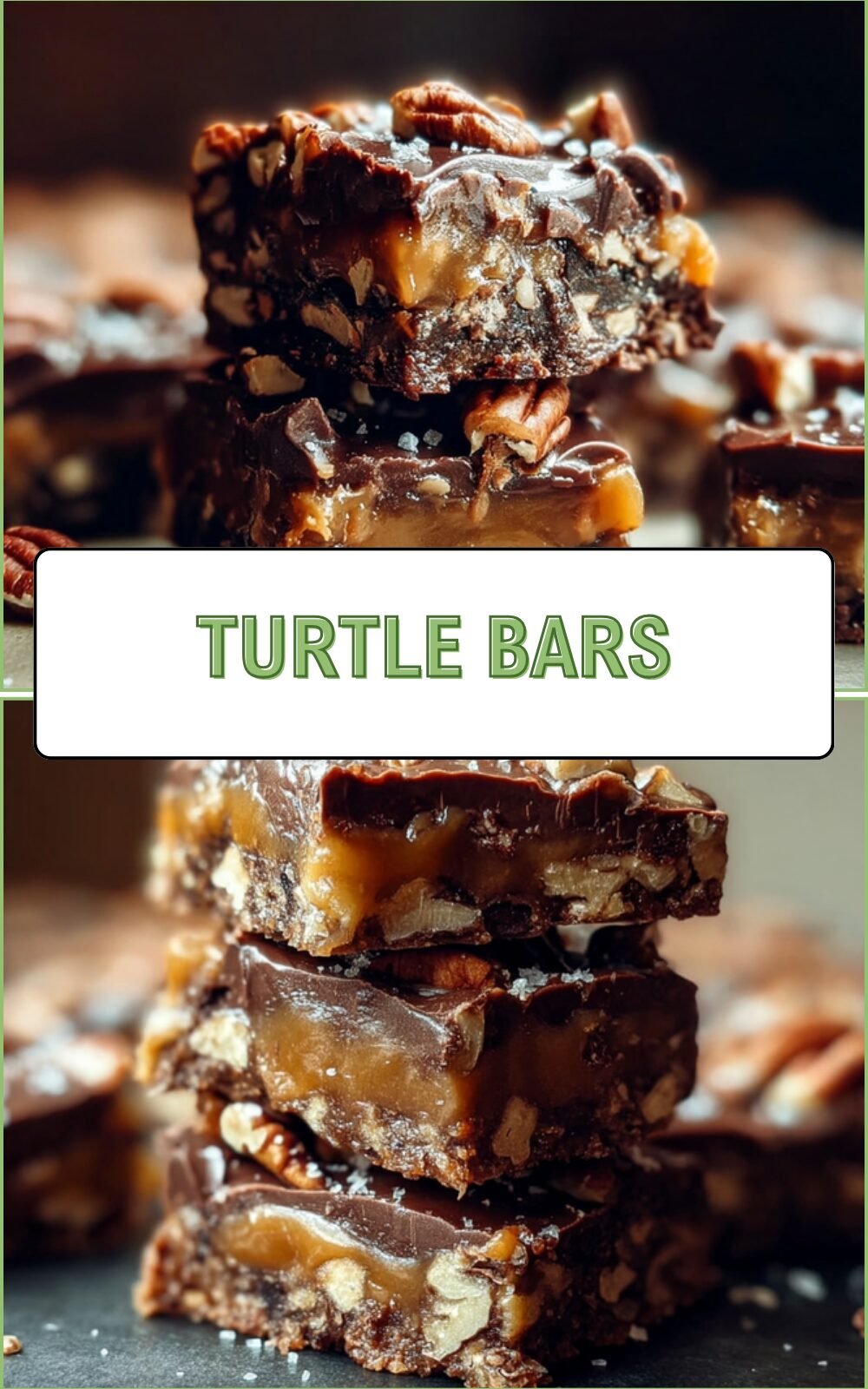 Turtle Bars