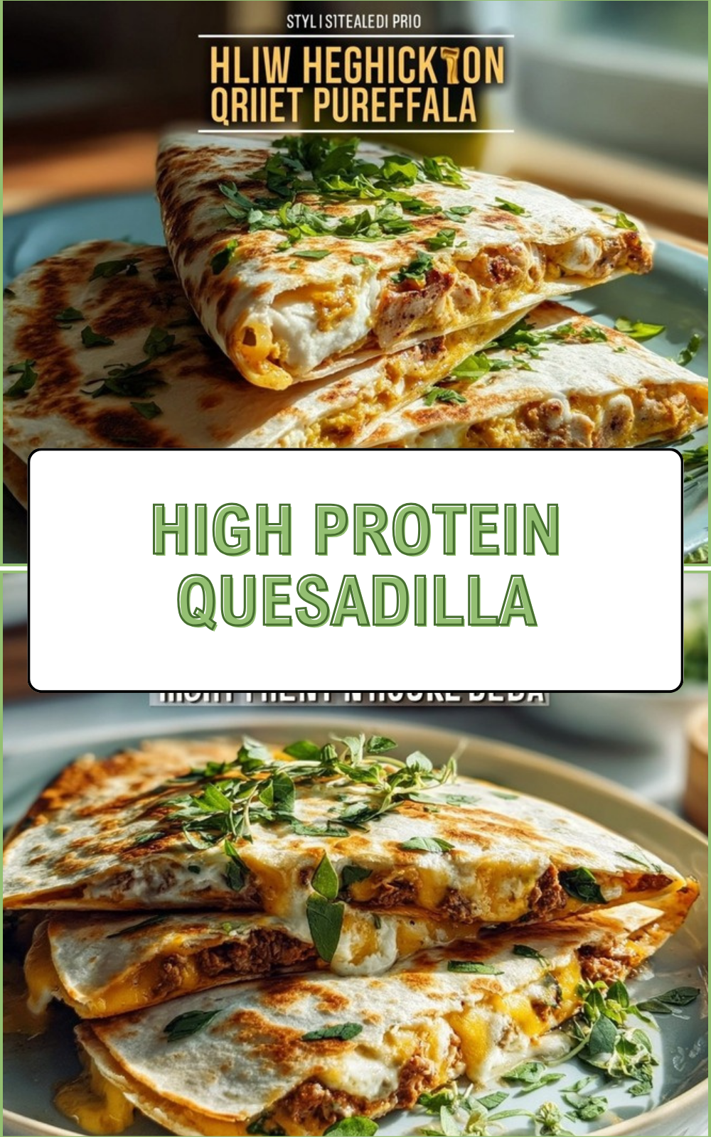 High Protein Quesadilla