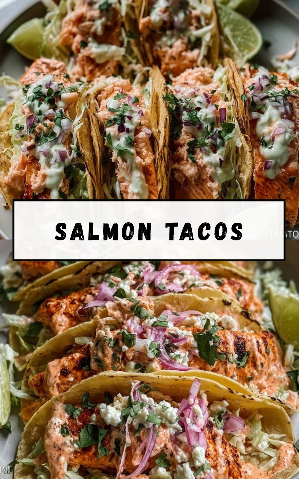 Salmon Tacos