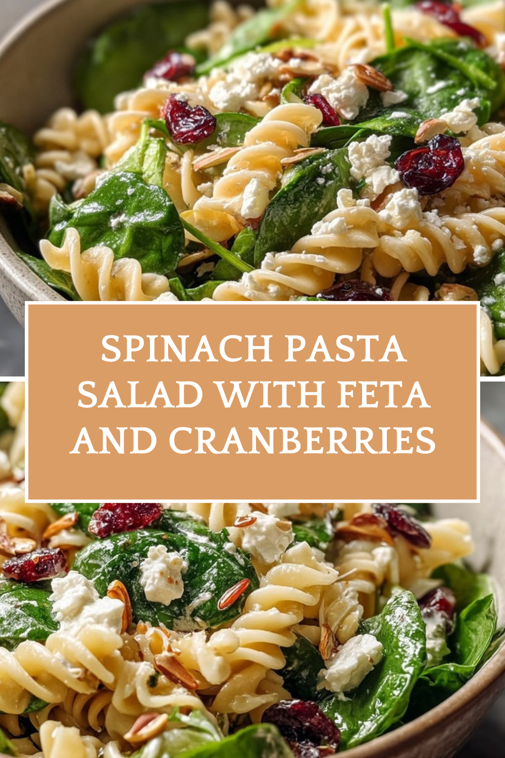 Spinach Pasta Salad With Feta And Cranberries